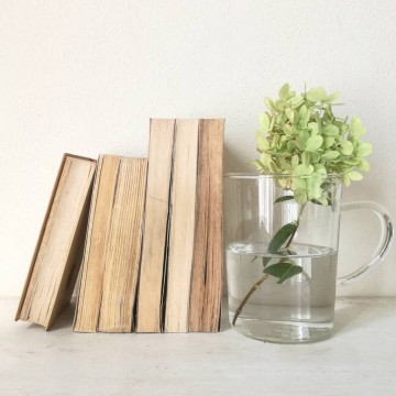 interior decor libri