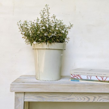 interior decor fiori