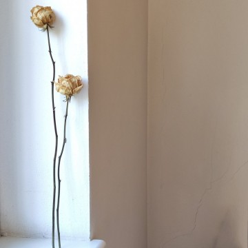 interior decor fiori