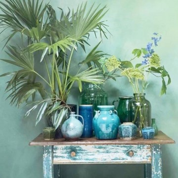 mobile recupero piante