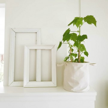 interior decor bianco